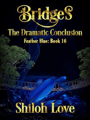 cover image of Bridges